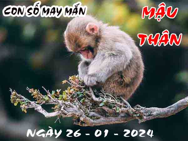 Thống kê con số may mắn tuổi Mậu Thân ngày 26/1/2024