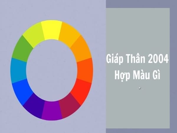 Người sinh năm 2004 hợp với màu gì